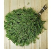 Веники для бани Пихтовый ЛАПНИК (свежий).